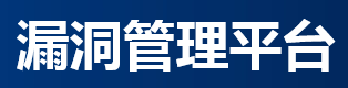 漏洞扫描